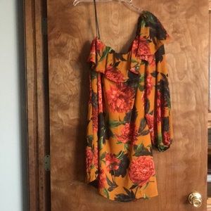 One Shoulder/Sleeve Ruffle Dress NWT
